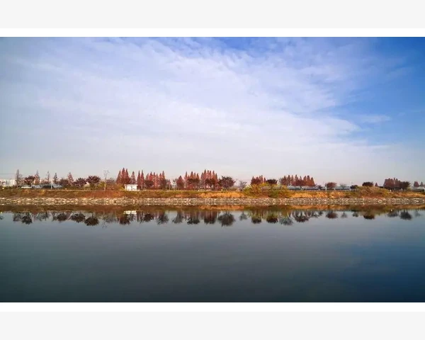 通过气血不足症状是什么呢？